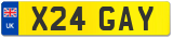 X24 GAY